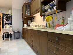 Apollo Gardens (D16), Terrace #602916491
